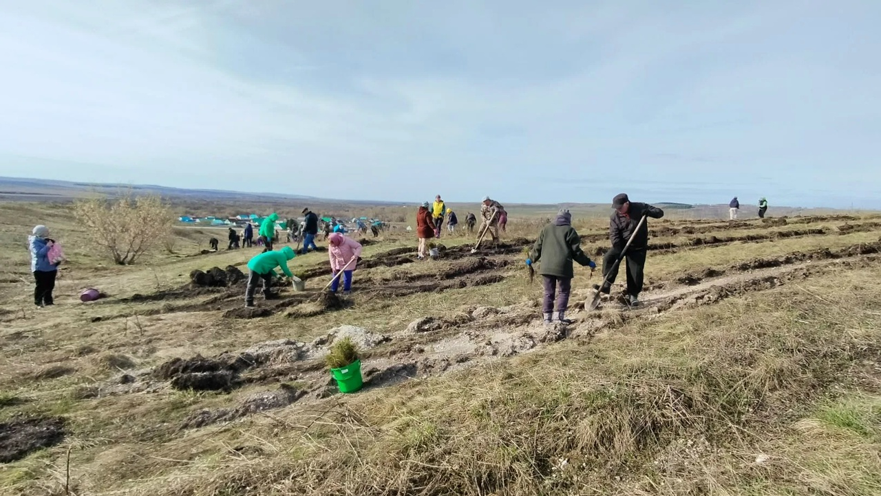 Айыттар ҙа «Йәшел Башҡортостан» акцияһына ҡушылды