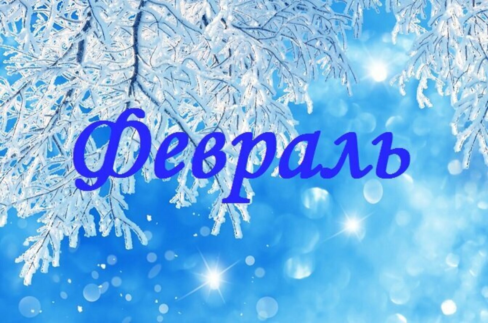 Февраль айына һынамыштар