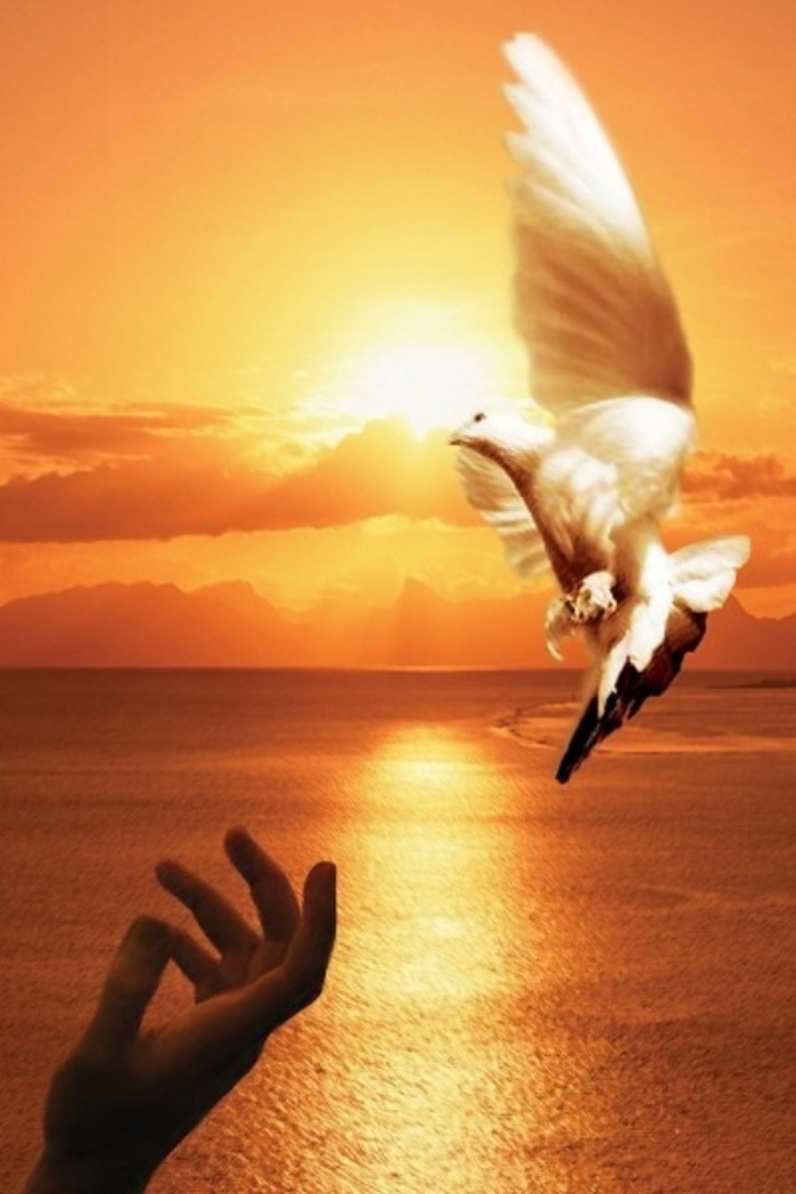 Йыртылған йән (булған хәл)