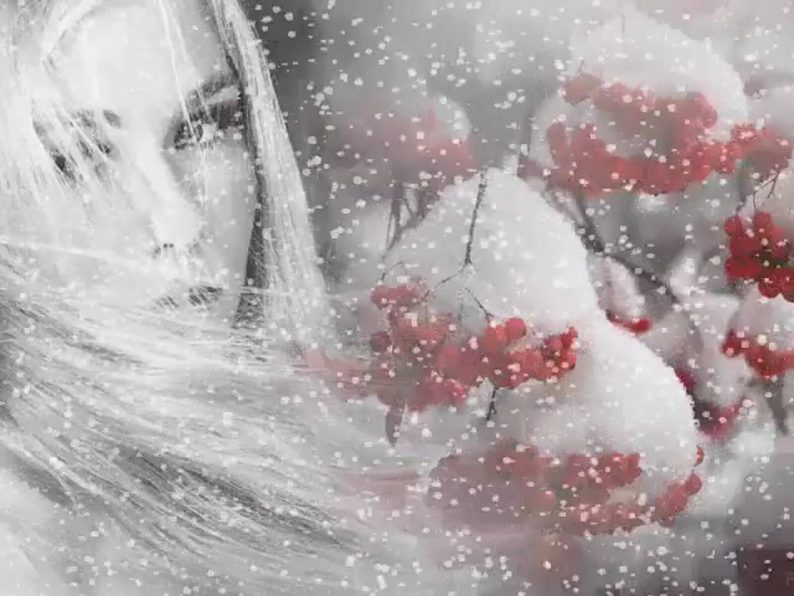 Таңым нуры һин