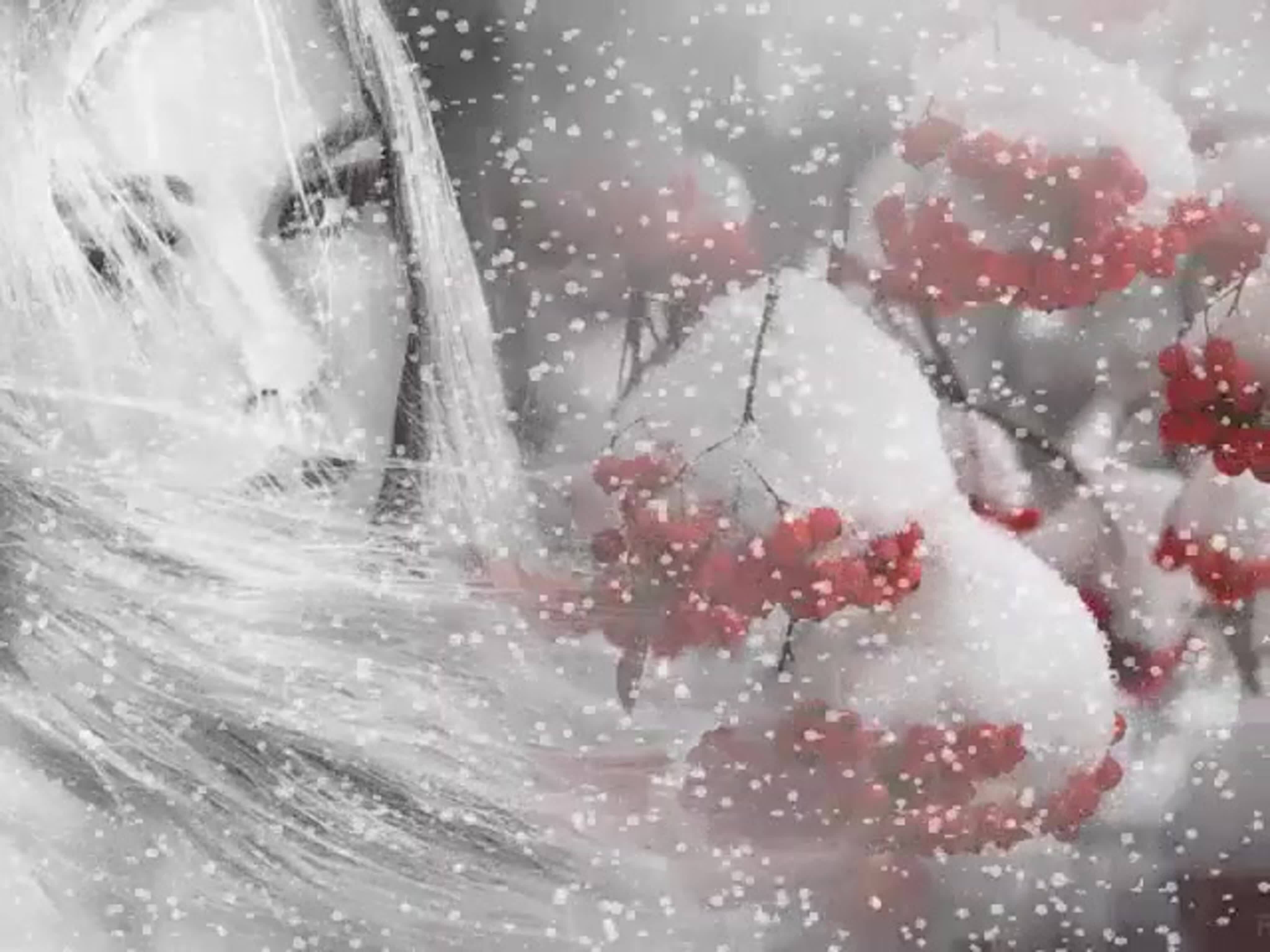 Таңым нуры һин