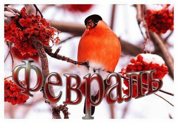 Февраль айына һынамыштар