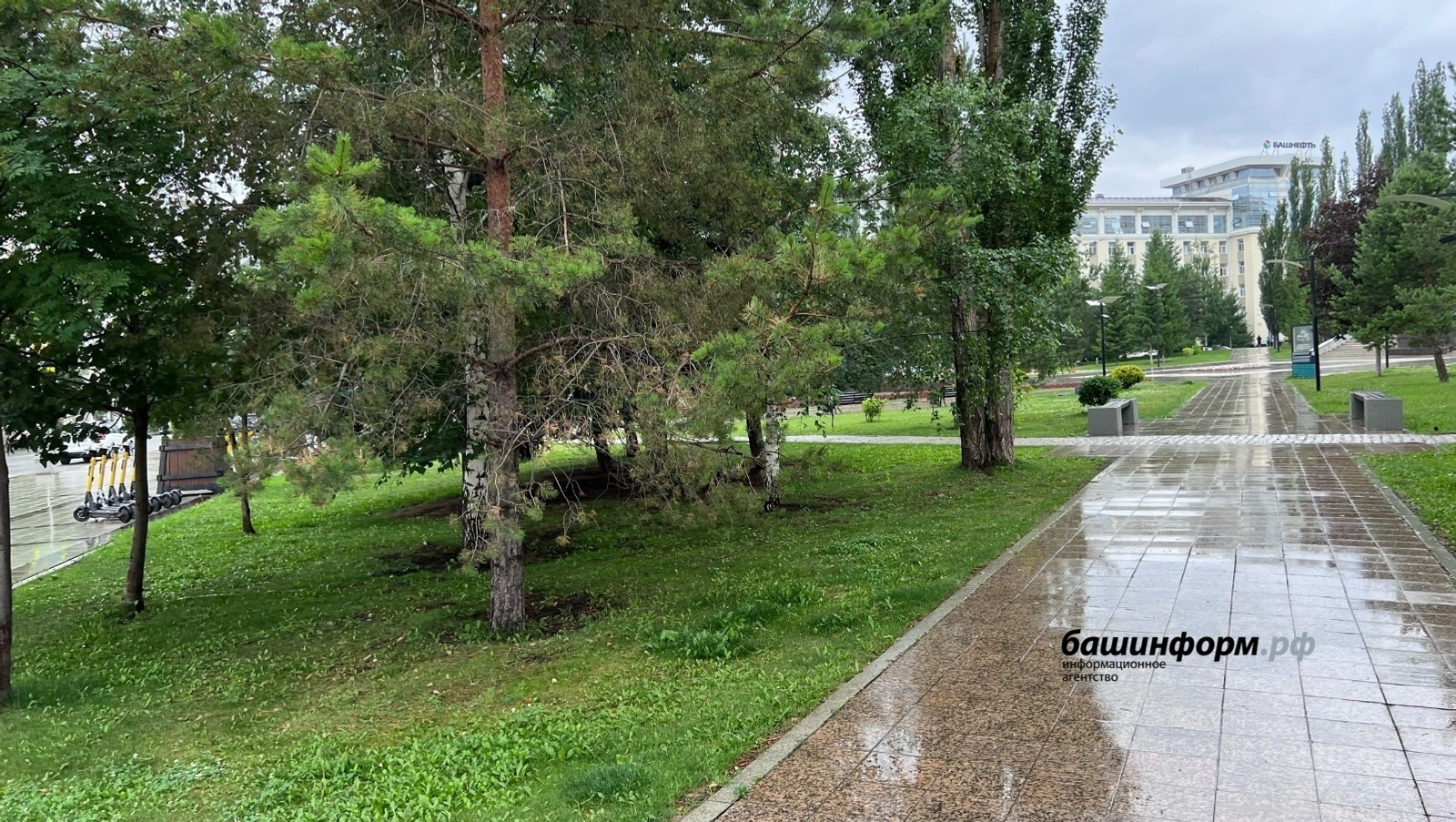 Аҙна башында көндәр йылы һәм ямғырлы буласаҡ