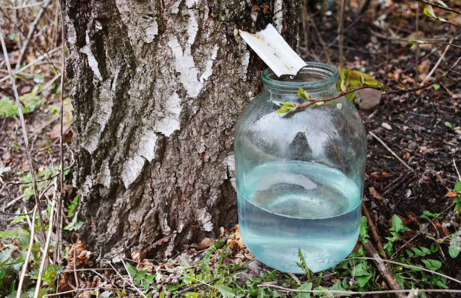 Ҡайын һыуы эсер мәл етә