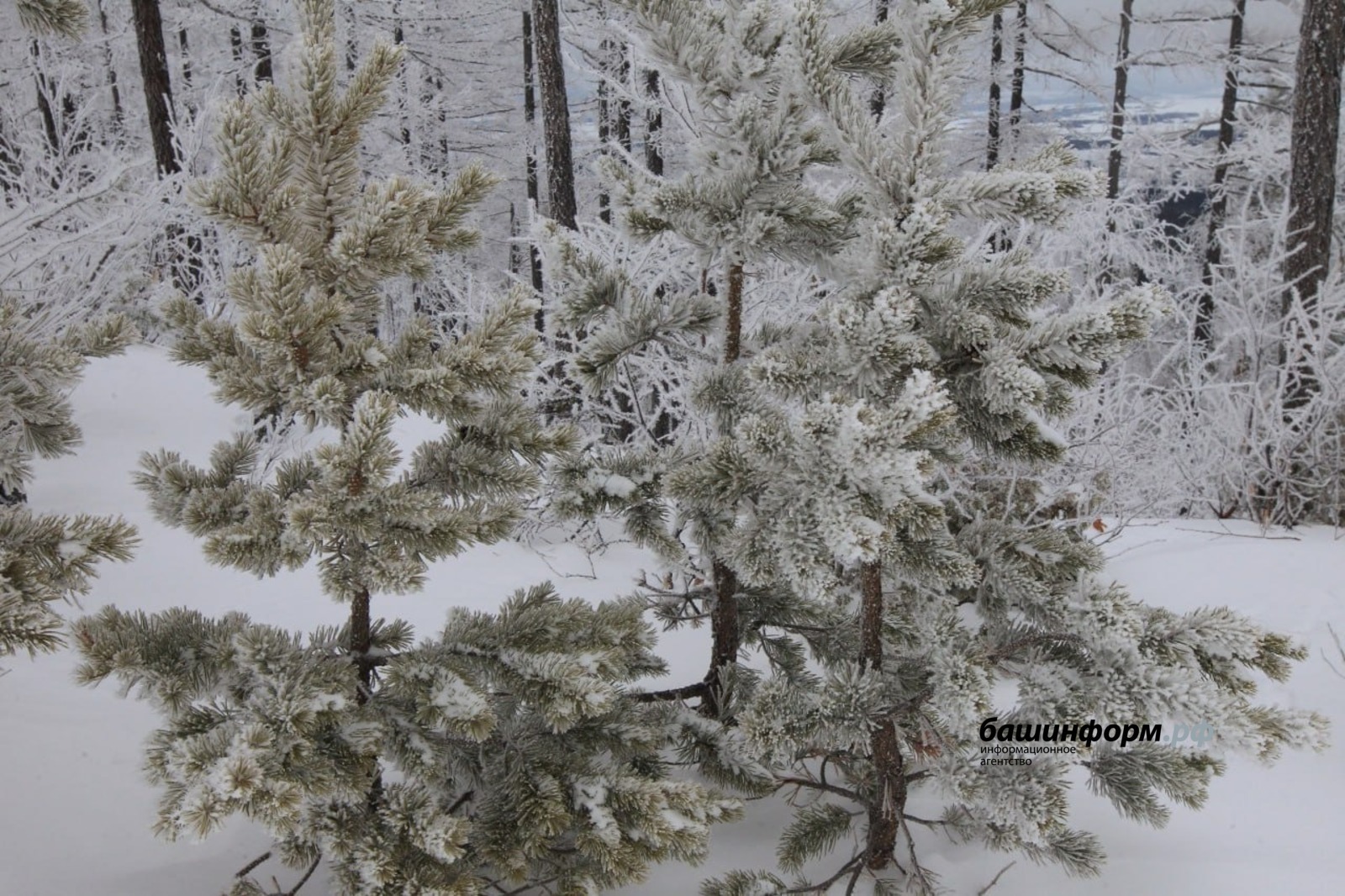 Республикала -33 градусҡаса һыуыта