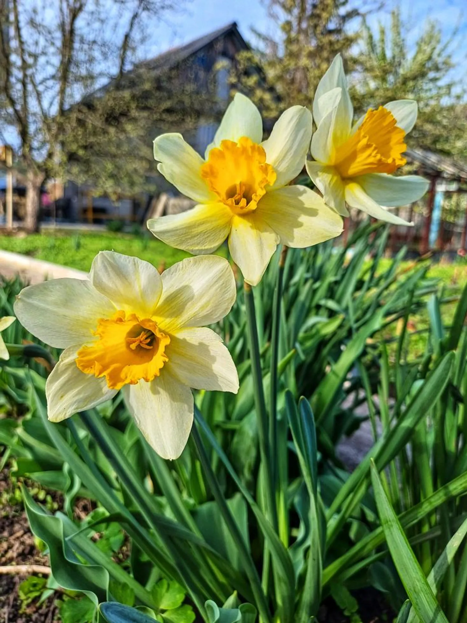 Башҡортостанда эш көнө ҡыҫҡартыла