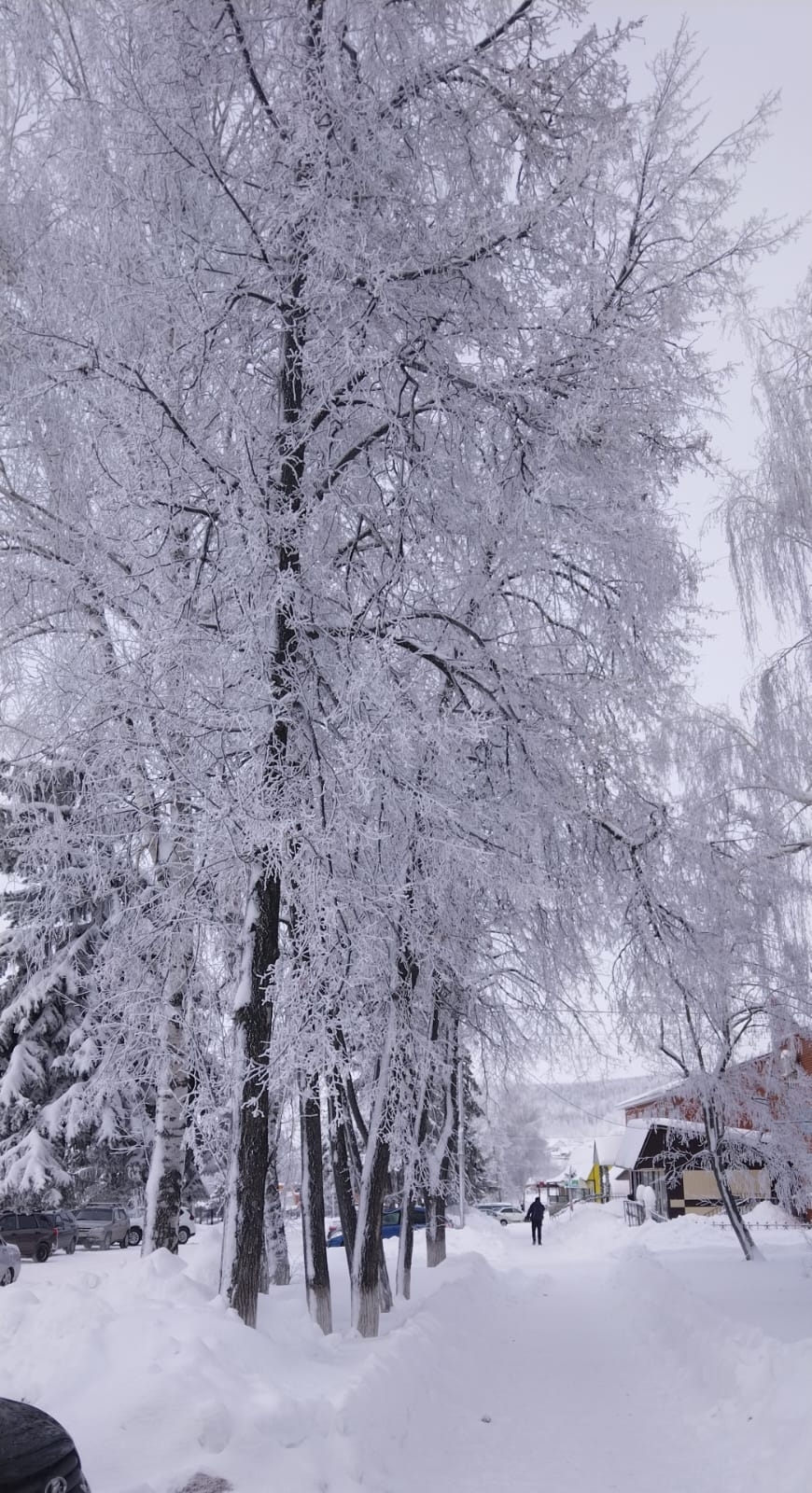 Ҡышҡы иртә (Гүзәл Ситдиҡова тәржемәһе)