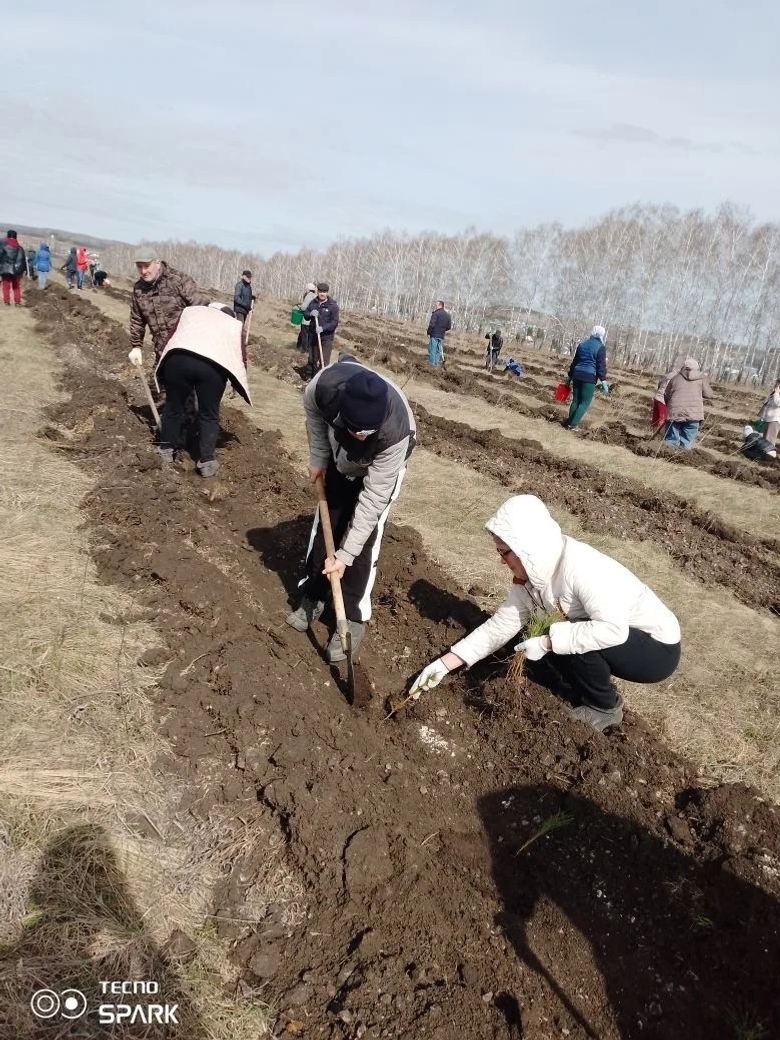 Урман шаулап үҫер...