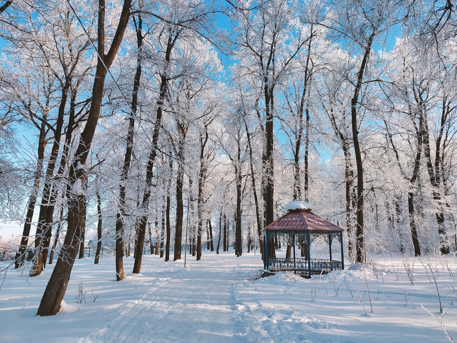 Башҡортостанда ҡар яуыуы көтөлә