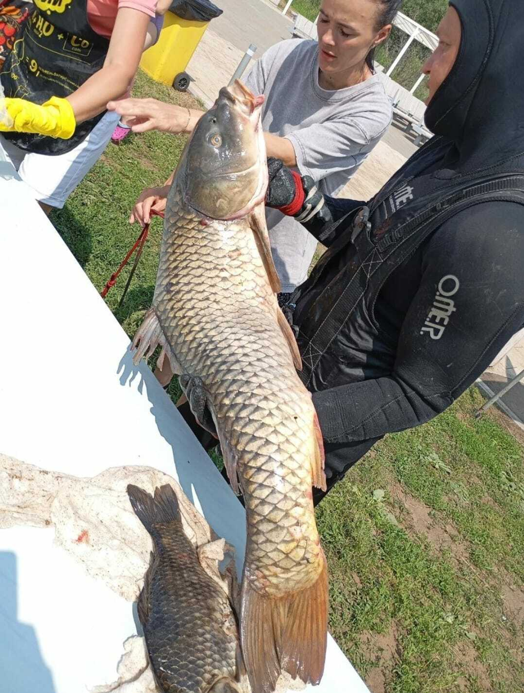 Балыҡсылар ярышты