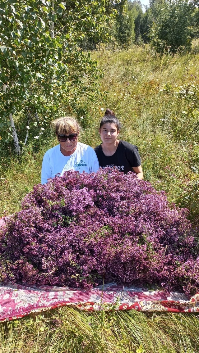 Изгелектең юҡтыр сиктәре