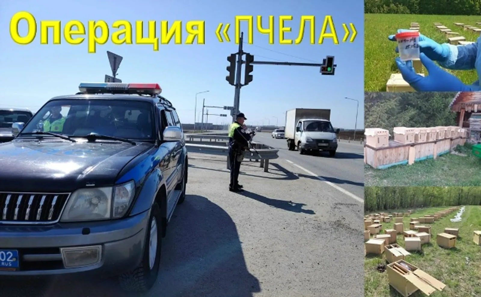 "Бал ҡорттары" операцияһы башланды