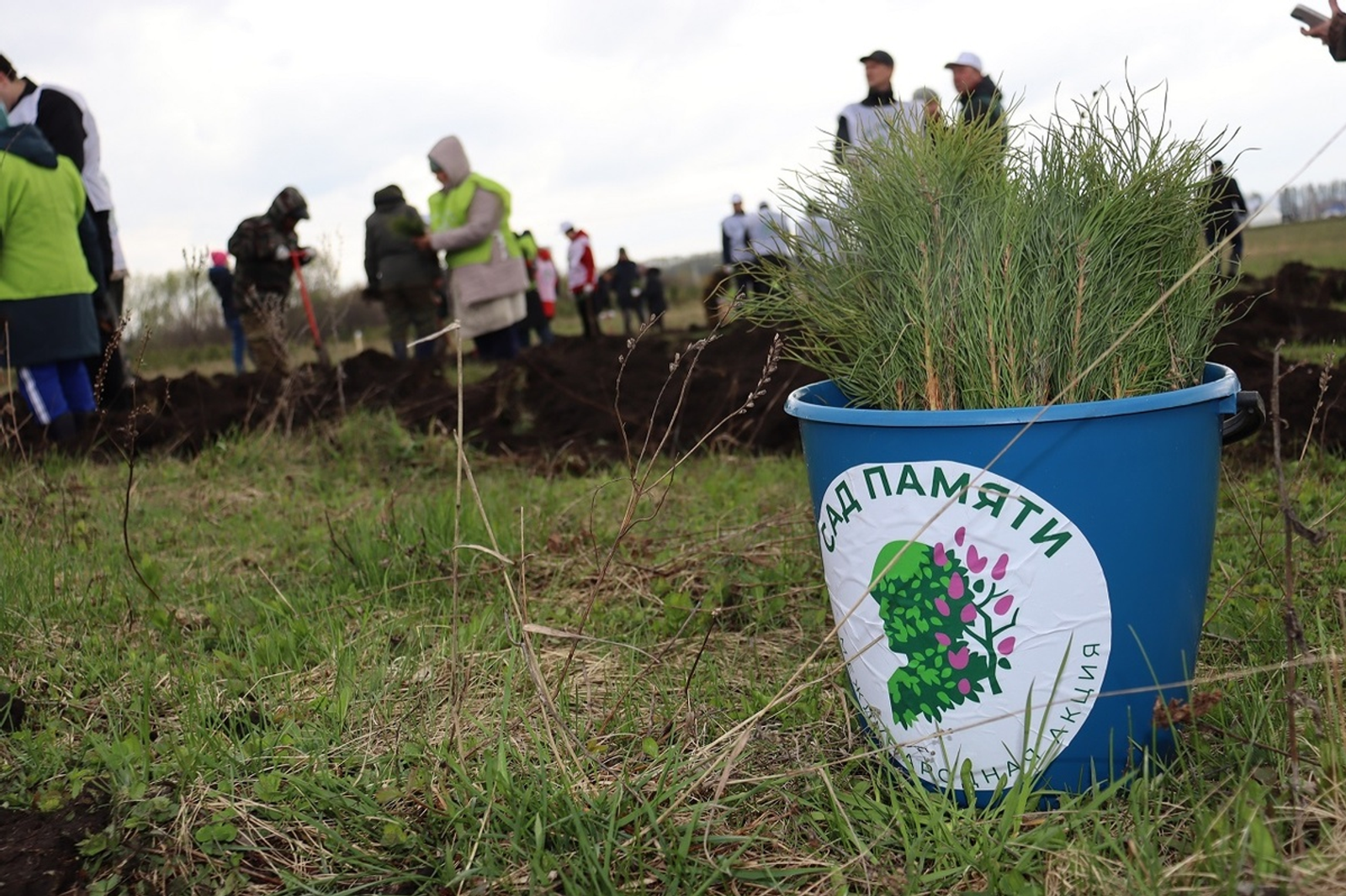 Урман – геройҙарға ҡуйылған иң яҡшы һәйкәл