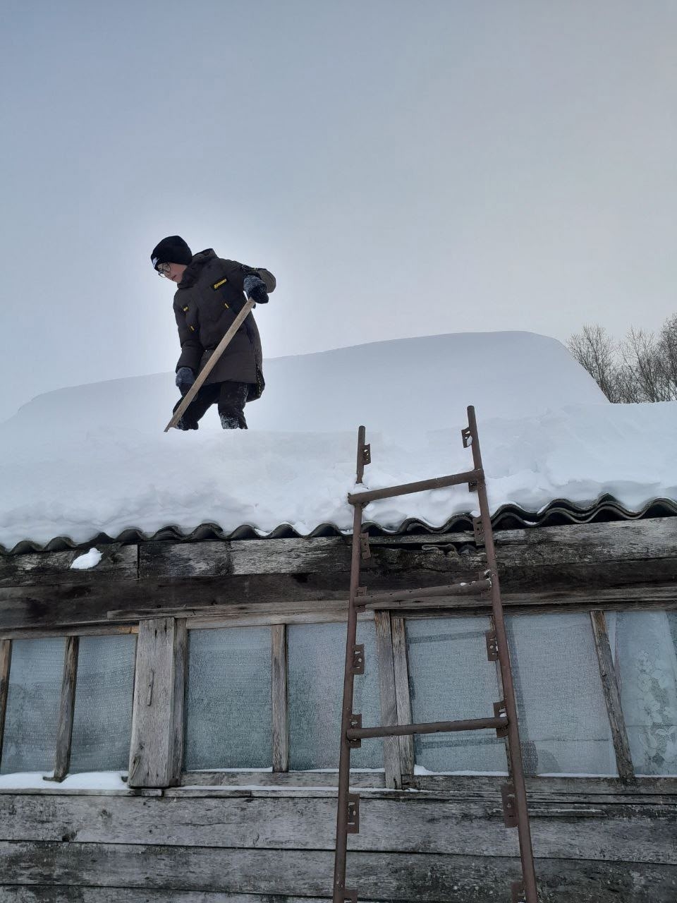 Үҙебеҙҙекеләрҙе ташламайбыҙ!