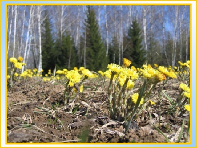 Май байрамдарында йәйге эҫе көтөлә